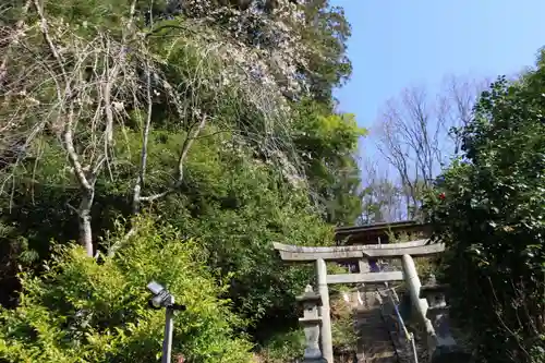 大六天麻王神社の鳥居