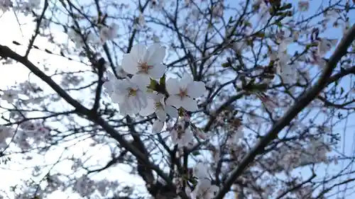 水神社（富士見町）(静岡県)