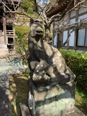 高照寺の狛犬