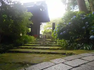 妙本寺の山門・神門