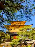 鹿苑寺(金閣寺)(京都府)