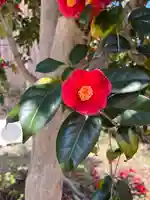 東門院(滋賀県)