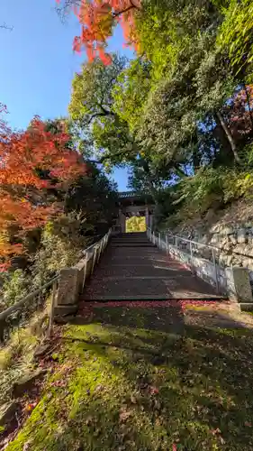 善峯寺(京都府)