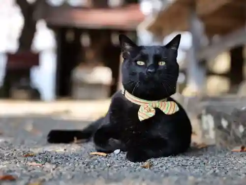 高司神社〜むすびの神の鎮まる社〜(福島県)