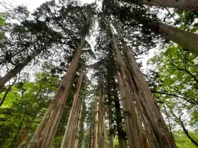 戸隠神社奥社(長野県)