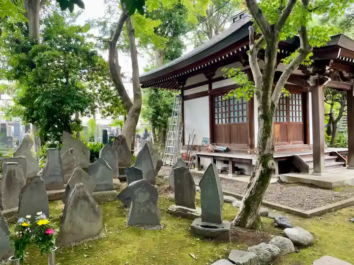 玉泉寺(東京都)