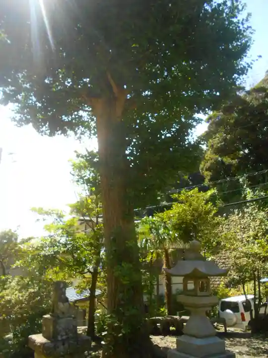 熊野新宮の自然