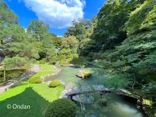 青蓮院門跡の庭園