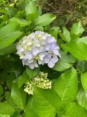 円覚寺(神奈川県)