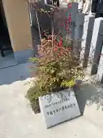 木津釈迦堂の{uncategorized: "未分類", other: "その他", undefined: "問題あり", building: "その他建物", grave: "お墓", sacred_gate: "鳥居", guardian: "狛犬", statue: "像", buddha: "仏像", history: "歴史", nature: "自然", garden: "庭園", animal: "動物", pagoda: "塔", temizu: "手水舎", mountain_gate: "山門・神門", sanctuary: "本殿・本堂", subordinate: "末社・摂社", art: "芸術", scenery: "景色", jizo: "地蔵", ema: "絵馬", goshuin: "御朱印", omikuji: "おみくじ", items: "授与品その他", amulet: "お守り", goshuincho: "御朱印帳", eats: "食事", festival: "お祭り", votive_dance: "神楽", shichigosan: "七五三参", wedding: "結婚式", experience: "体験その他", initially: "初詣", around: "周辺", anti_infection: "感染症対策"}