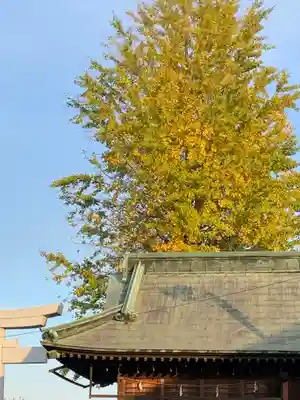 健田須賀神社のその他建物