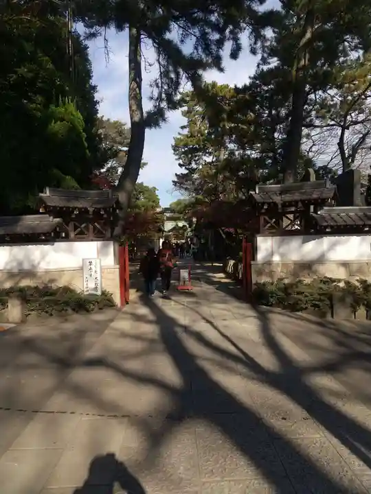 越ヶ谷久伊豆神社(埼玉県)