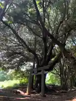 稲生大神(千葉県)