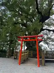 蒲生八幡神社(鹿児島県)