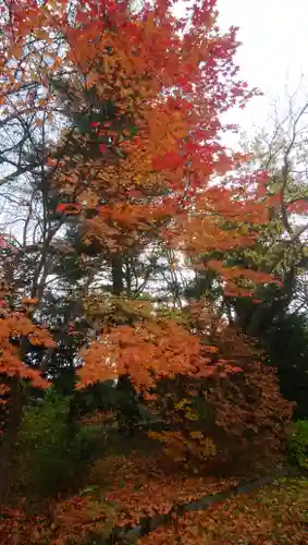 永山神社の自然