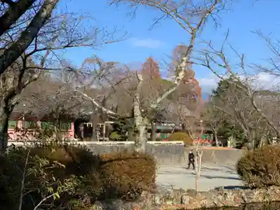 富士山本宮浅間大社のその他建物
