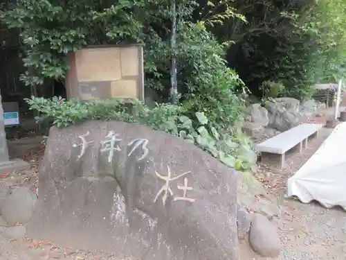出雲大社相模分祠(神奈川県)