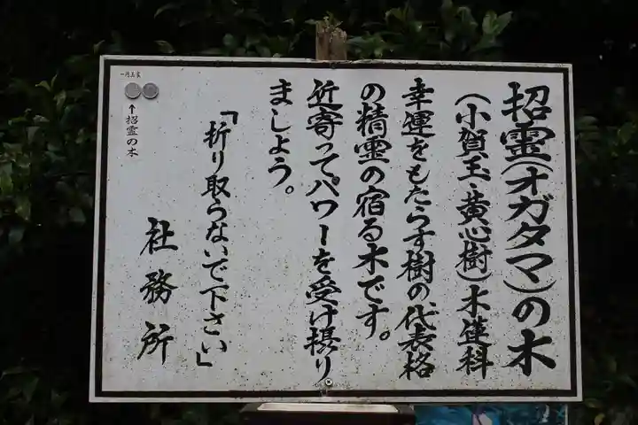 息栖神社のその他建物