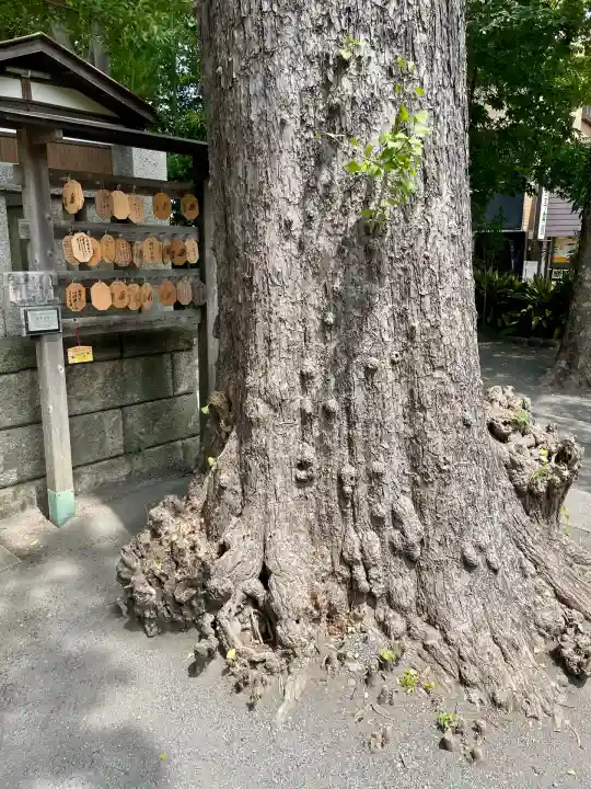 亀岡八幡宮(亀岡八幡神社)(神奈川県)