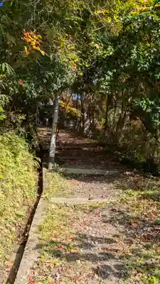 十輪寺(京都府)