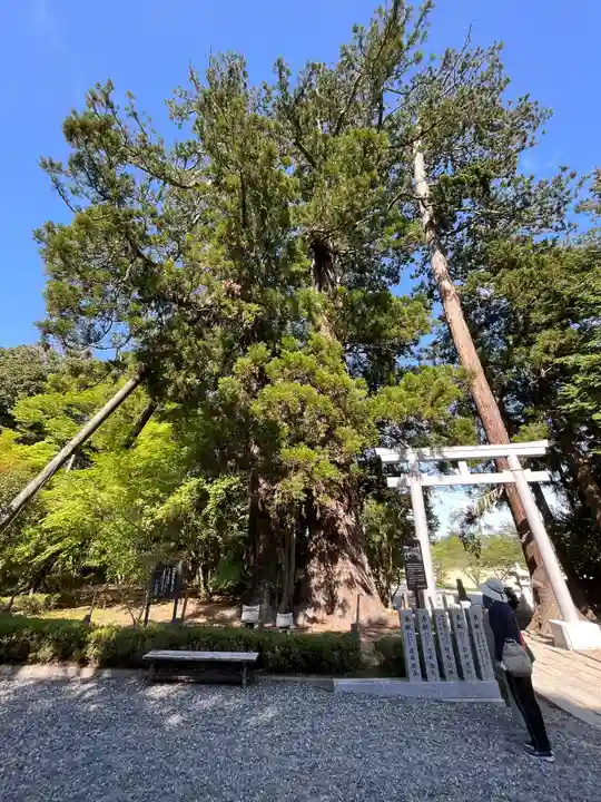 相馬中村神社の庭園