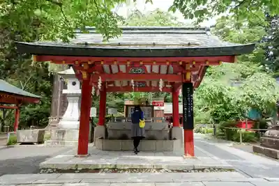 志波彦神社・鹽竈神社の手水舎
