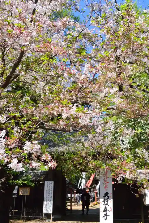 明王院(満願寺別院)(東京都)