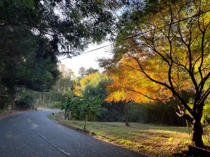 子安神社の周辺