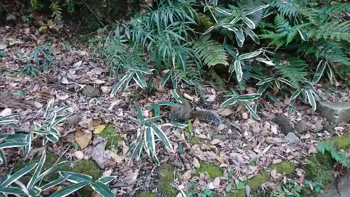 円覚寺(神奈川県)