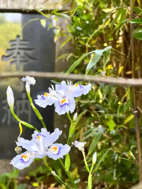 別所神社(長野県)