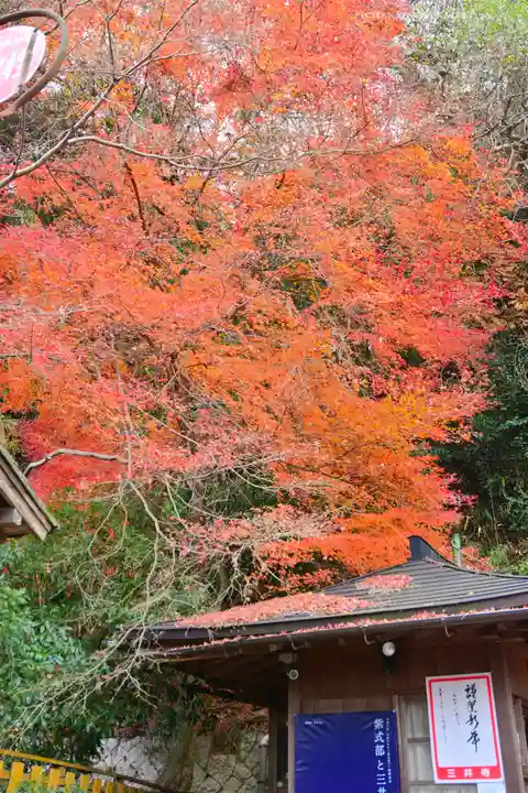 園城寺(三井寺)(滋賀県)