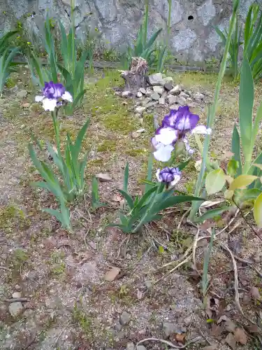 木華佐久耶比咩神社の自然