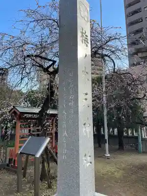 川口神社(埼玉県)
