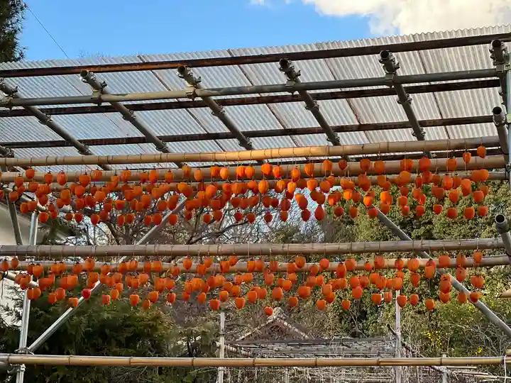 恵林寺(山梨県)