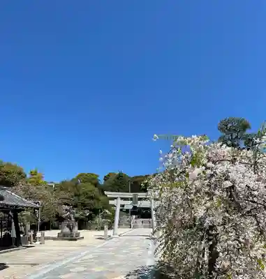 鶴羽根神社(広島県)