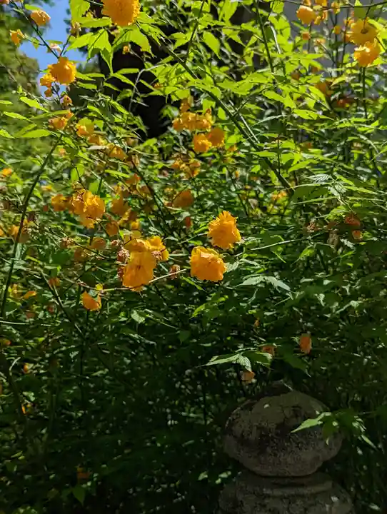 松尾大社(京都府)