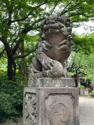 代々木八幡宮の狛犬