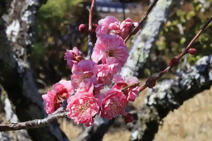 正法寺(京都府)