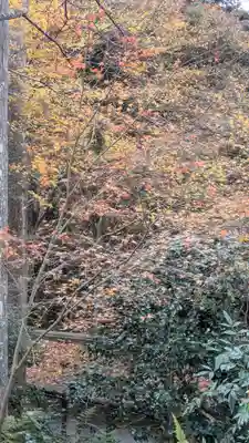 三千院門跡(京都府)