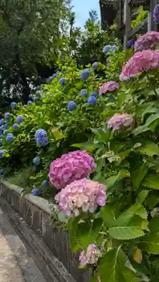 善峯寺(京都府)