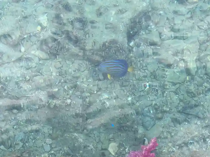 住吉神社(長崎県)