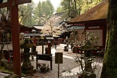 日光二荒山神社(栃木県)