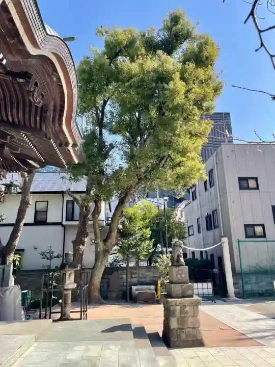 女躰大神の{uncategorized: "未分類", other: "その他", undefined: "問題あり", building: "その他建物", grave: "お墓", sacred_gate: "鳥居", guardian: "狛犬", statue: "像", buddha: "仏像", history: "歴史", nature: "自然", garden: "庭園", animal: "動物", pagoda: "塔", temizu: "手水舎", mountain_gate: "山門・神門", sanctuary: "本殿・本堂", subordinate: "末社・摂社", art: "芸術", scenery: "景色", jizo: "地蔵", ema: "絵馬", goshuin: "御朱印", omikuji: "おみくじ", items: "授与品その他", amulet: "お守り", goshuincho: "御朱印帳", eats: "食事", festival: "お祭り", votive_dance: "神楽", shichigosan: "七五三参", wedding: "結婚式", experience: "体験その他", initially: "初詣", around: "周辺", anti_infection: "感染症対策"}