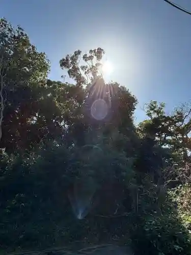 洲崎神社の{uncategorized: "未分類", other: "その他", undefined: "問題あり", building: "その他建物", grave: "お墓", sacred_gate: "鳥居", guardian: "狛犬", statue: "像", buddha: "仏像", history: "歴史", nature: "自然", garden: "庭園", animal: "動物", pagoda: "塔", temizu: "手水舎", mountain_gate: "山門・神門", sanctuary: "本殿・本堂", subordinate: "末社・摂社", art: "芸術", scenery: "景色", jizo: "地蔵", ema: "絵馬", goshuin: "御朱印", omikuji: "おみくじ", items: "授与品その他", amulet: "お守り", goshuincho: "御朱印帳", eats: "食事", festival: "お祭り", votive_dance: "神楽", shichigosan: "七五三参", wedding: "結婚式", experience: "体験その他", initially: "初詣", around: "周辺", anti_infection: "感染症対策"}