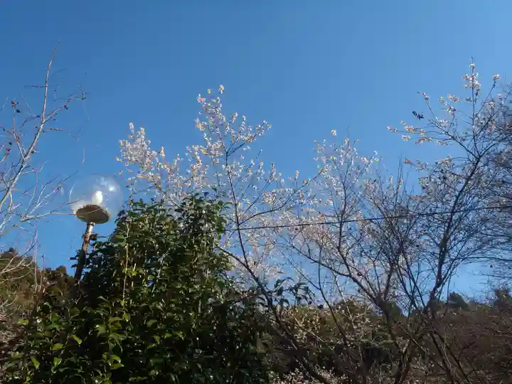 祝峰寺(愛知県)
