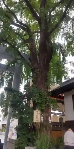 波除神社（波除稲荷神社）(東京都)