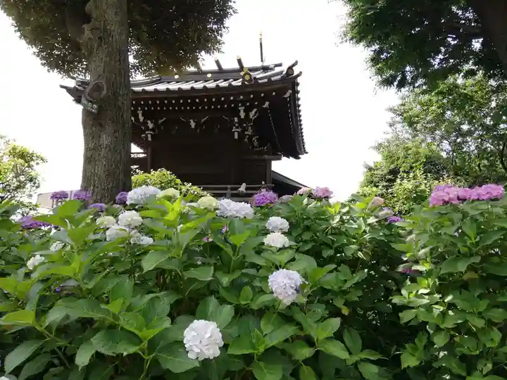 白山神社のその他建物