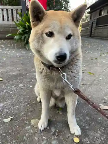笠䅣稲荷神社(神奈川県)