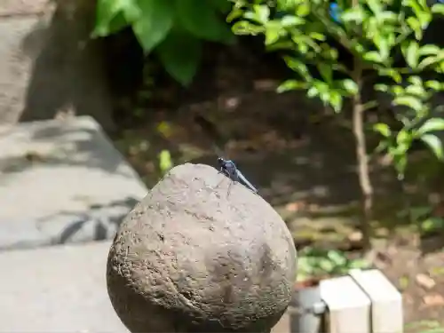 王子稲荷神社(東京都)