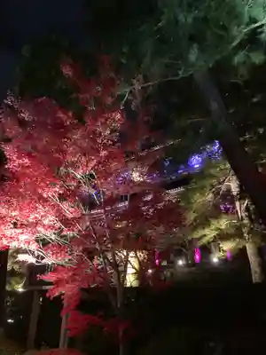 知恩院(京都府)